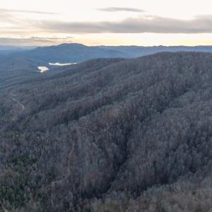 DJI_20250304173006_0024_D