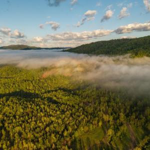 DJI_20250505071624_0012_D