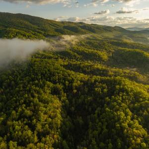 DJI_20250505071637_0013_D