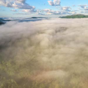 DJI_20250505071940_0017_D