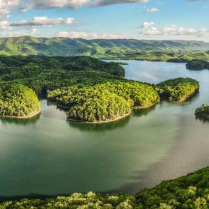 DJI_20250505075808_0037_D