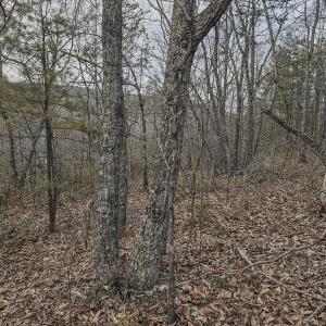 Giddens_Craig Co-06