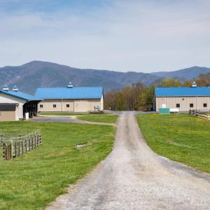 Rustic Ridge Farm