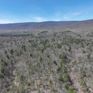 St Clair .75 ac pics - 7