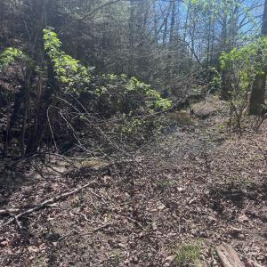 St Clair .75 ac pics - 19