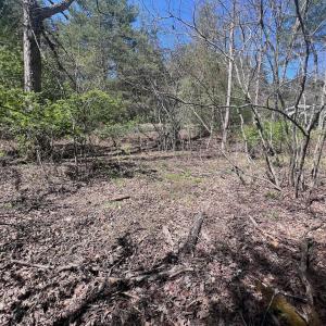 St Clair .75 ac pics - 23