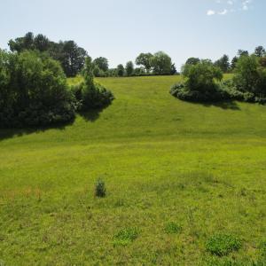 HHMay2525_20