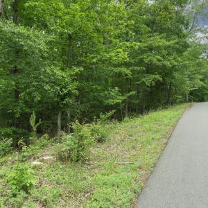 Lot from street
