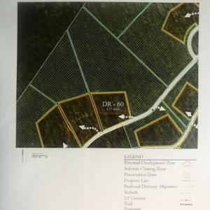 DR Lot 60 LP1
