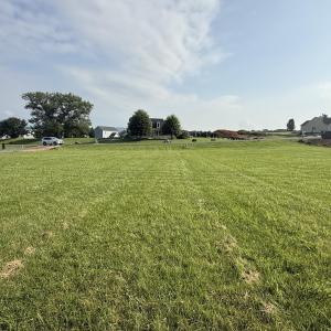 Back to front of lot