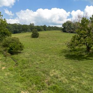 Pastures