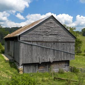 MLS Land-5