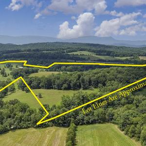 Property Lines