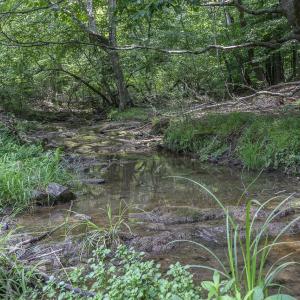 Stream