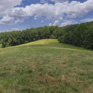 Pasture