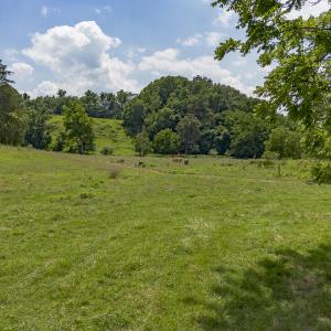 Pasture