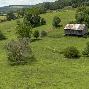 Land