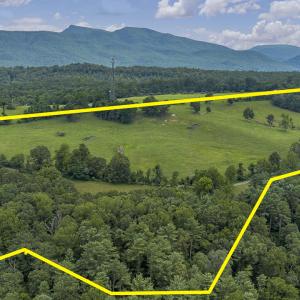 MLS 534 The Knob Road-6