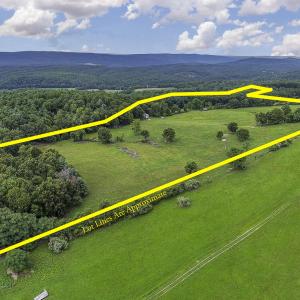 MLS 534 The Knob Road-7