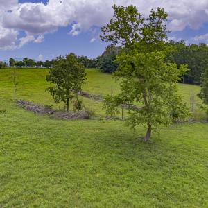 MLS 534 The Knob Road-9