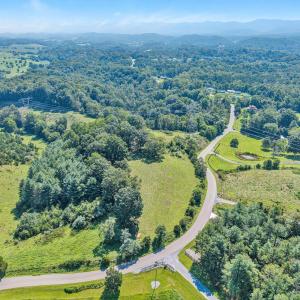 10-DJI_20250804110434_0073