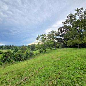 Gravel Hill 9 (1)