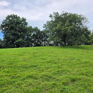 Gravel Hill 10 (1)