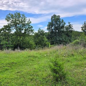 Gravel Hill 7 (1)