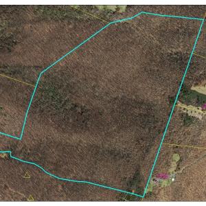 134.25 acres