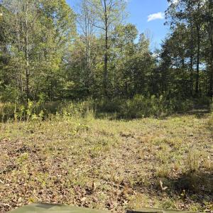 Wildlife clearing