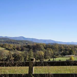 Views across Reid Rd to East