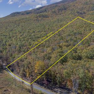 MLS Calle Mine Road Land-3