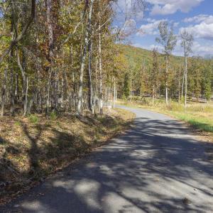 MLS Calle Mine Road Land-5