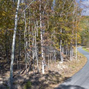 MLS Calle Mine Road Land-6