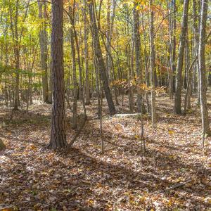 MLS Calle Mine Road Land-7