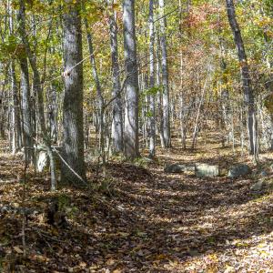 MLS Calle Mine Road Land-9