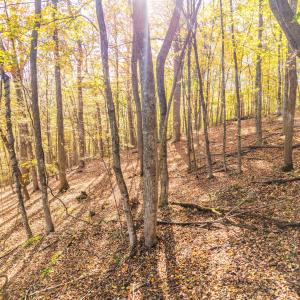 DJI_20251015100734_0046_D