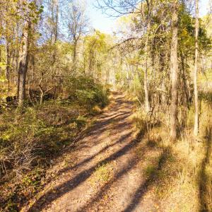 DJI_20251015101513_0051_D