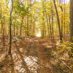 DJI_20251015102303_0056_D