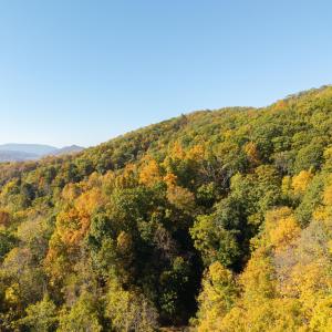 DJI_20251015105025_0067_D