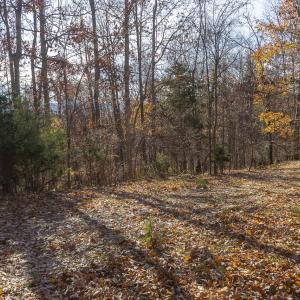 Driveway to Building Site