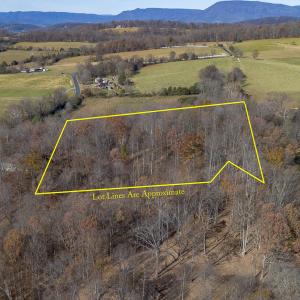 Wooded Aerial View