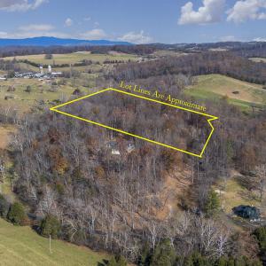 Wooded Aerial View