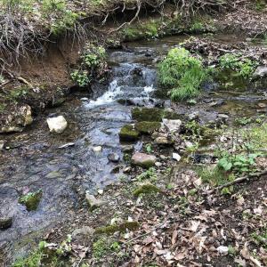 Water Feature