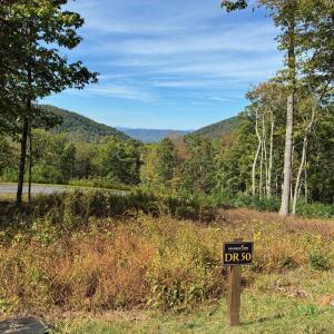 Delafield Rise Lot #50