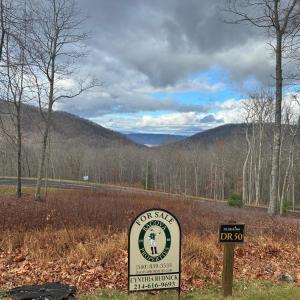 DR 50 View of the Gap