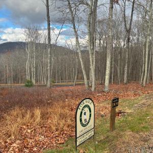 DR 50 Panoramic Right