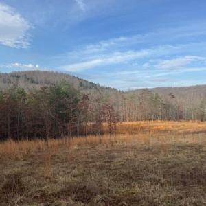 Morris TBD Little River Rd Lead Pic