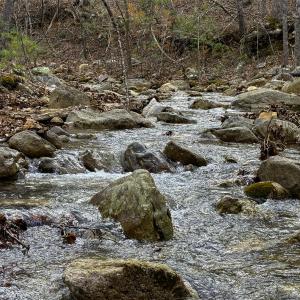 Chalk Mine Run