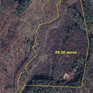 28.32 ac Aerial Photo